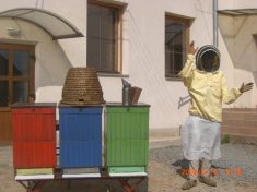 Včelárstvo a jeho produkty